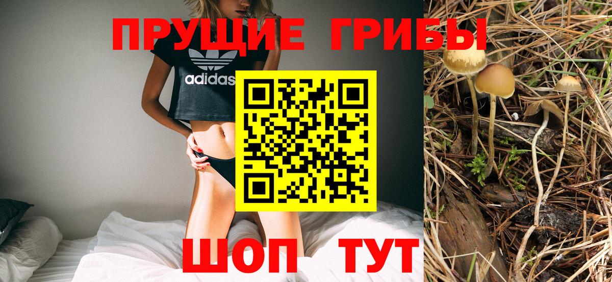 Псилоцибиновые грибы Magic Shrooms  Вход с VPN  Ирбит 